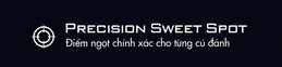 Công nghệ PRECISION SWEET SPOT của Vợt Pickleball Sypik Triton Pro 16mm (TLG sign)